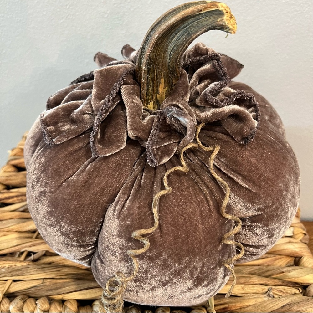 Handmade Plush Velvet Pumpkin with Real Stem